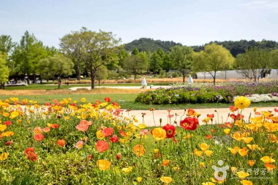 순천만 국가정원 (1)