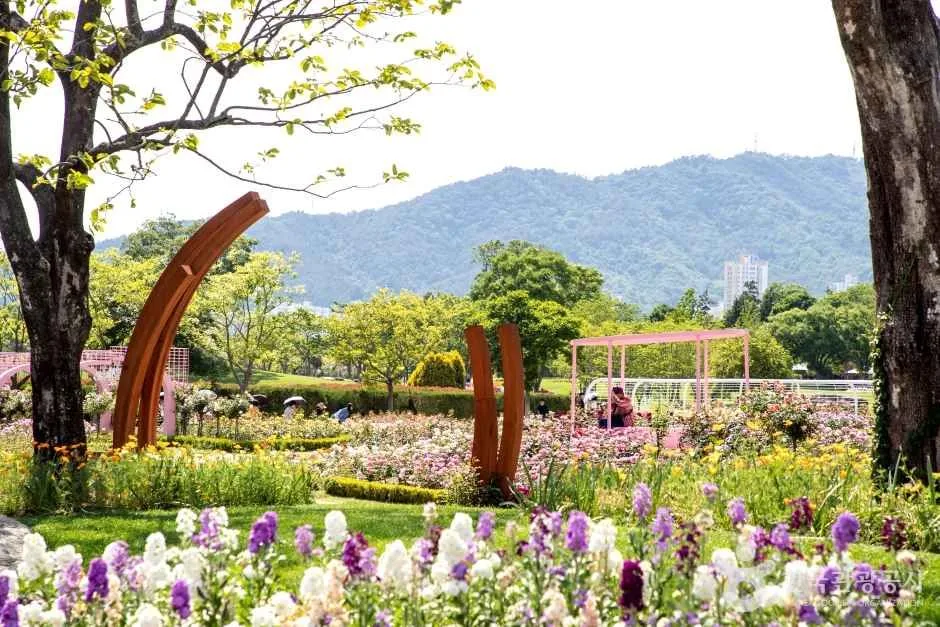 순천만국가정원 (12)