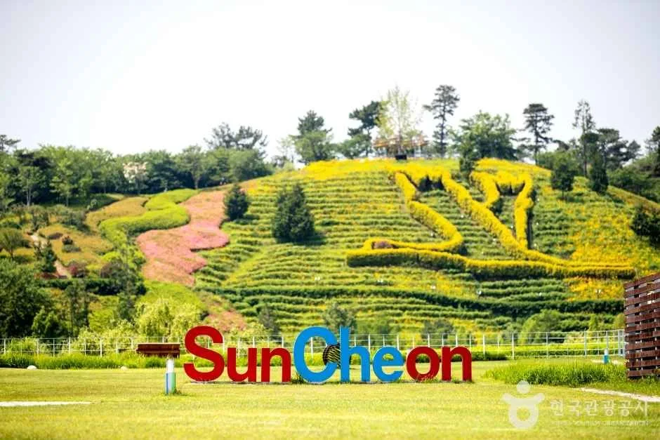 순천만 국가정원 (4)