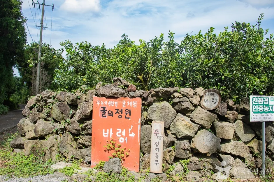 귤의정원 바령