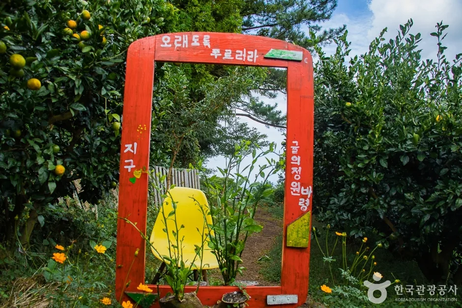 귤의정원 바령 (10)