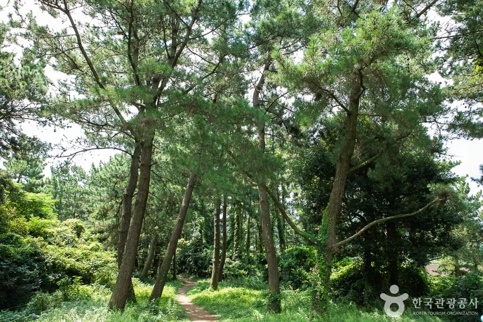 두산봉 (20)