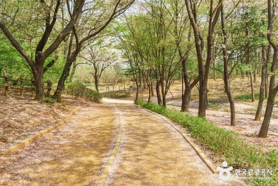 고양_성저공원 (3).jpg