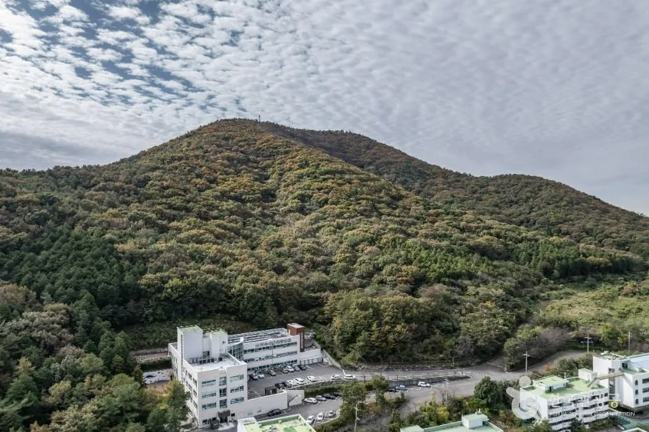 여수_고락산 (2)