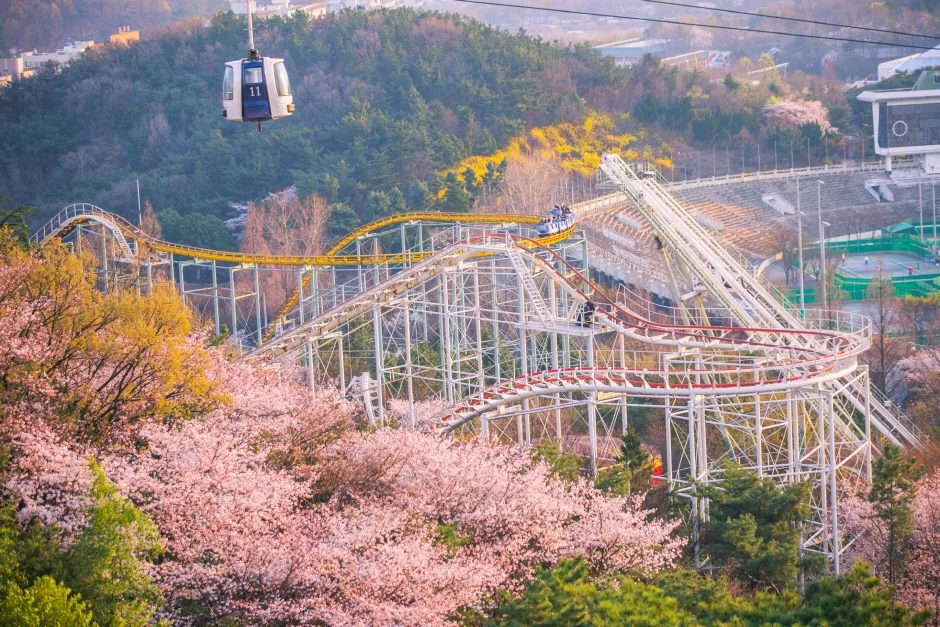대구_이월드 (7).jpg