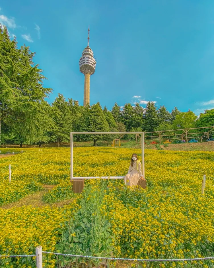 대구_이월드 (11).jpg