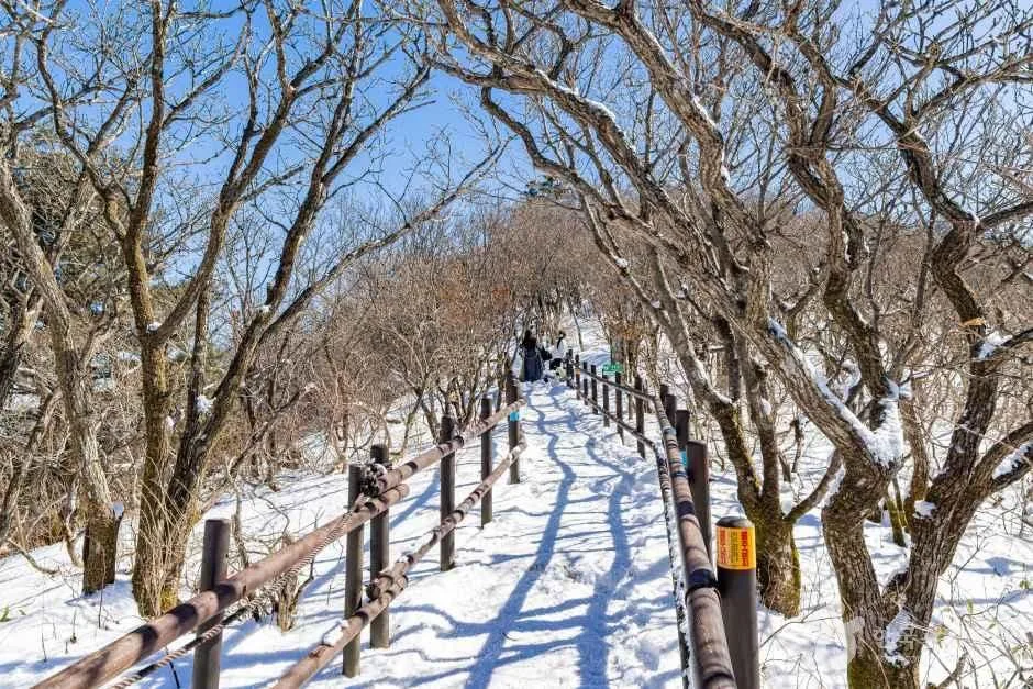 무주_향적봉(덕유산) (1).jpg