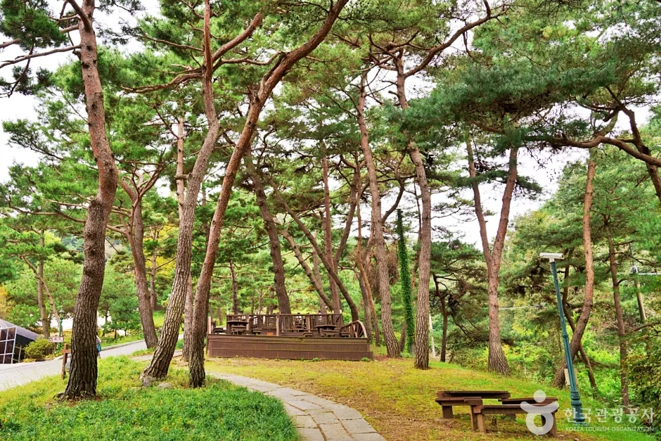 3층 목탑과 너른 들녘, 진천에서 즐기는 가을 나들이_충북_진천_배티성지_5.jpg