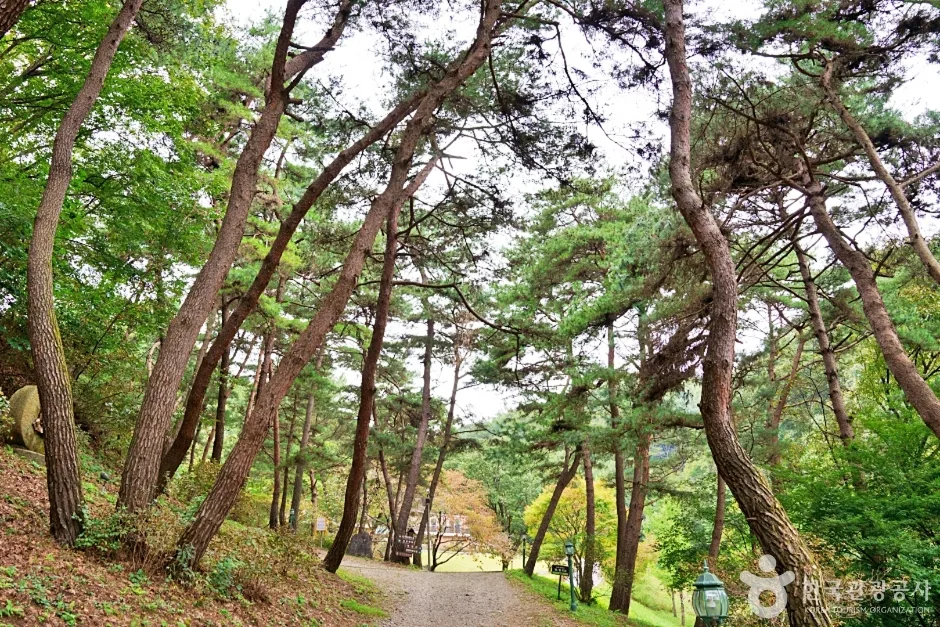 진천 배티 성지 (4)