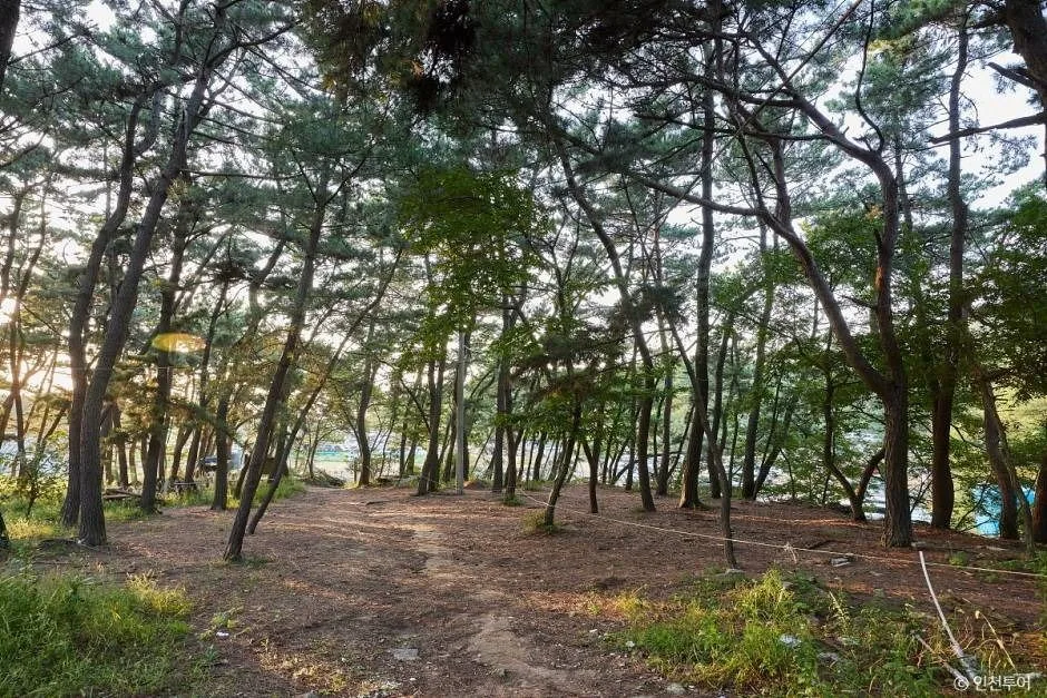 인천_영종구_호룡곡산 (1).jpg