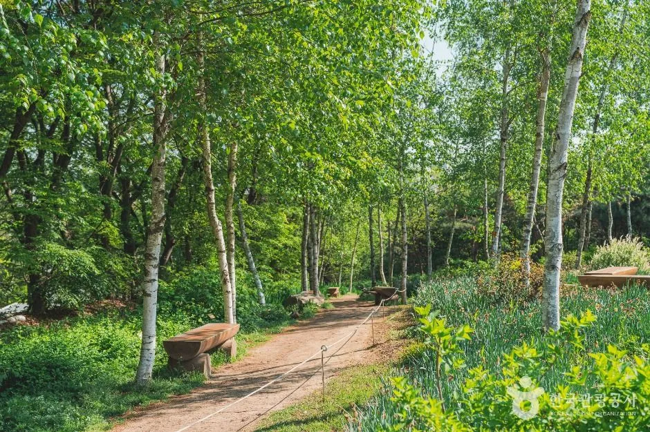 서울_대모산숲속야생화원 (1)