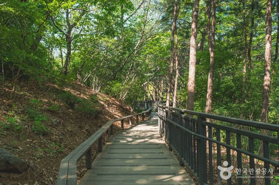 서울_대모산숲속야생화원 (3)