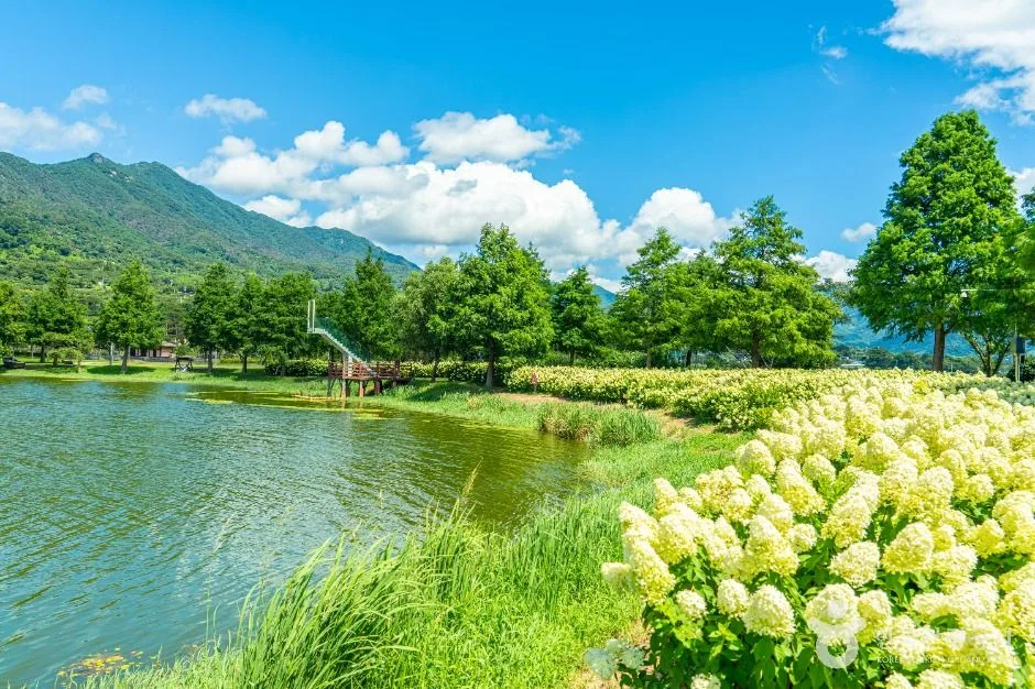하동_동정호 (11)