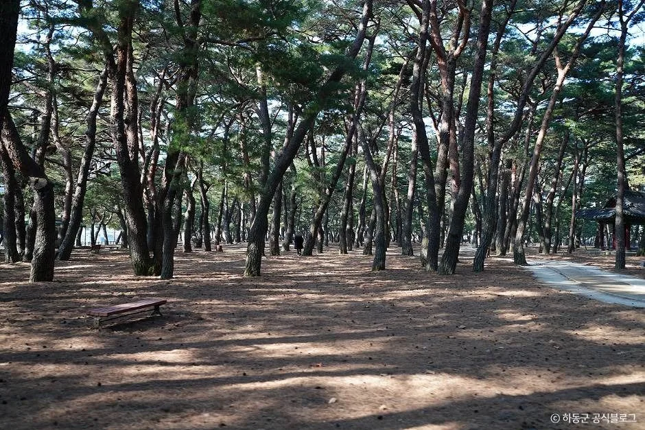 하동_하동송림공원 (3)