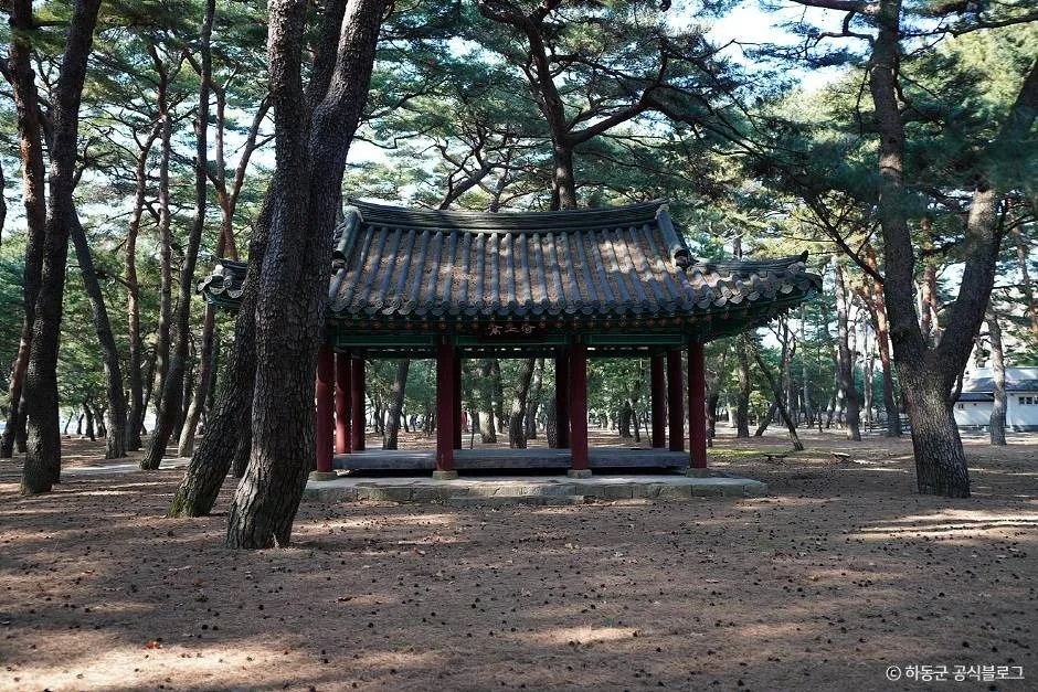하동_하동송림공원 (1)
