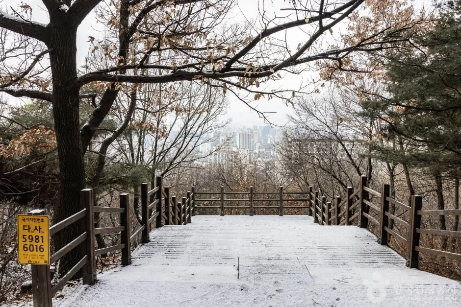 서울노원_초안산 (13)