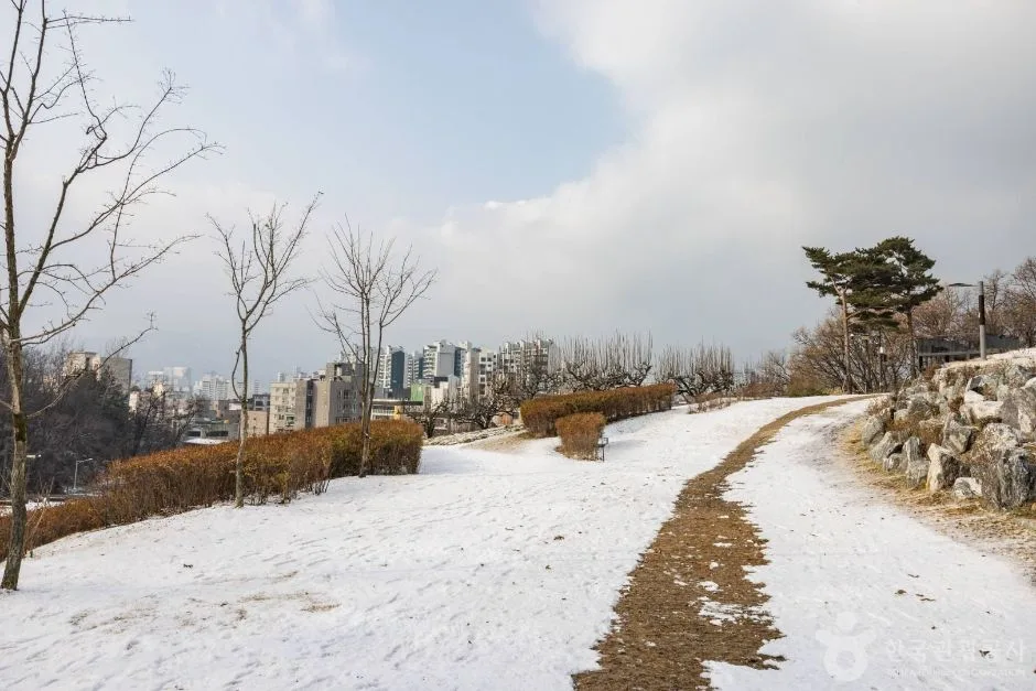 서울노원_초안산 (1)