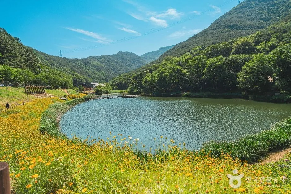 대구_진밭골산림공원 (1)