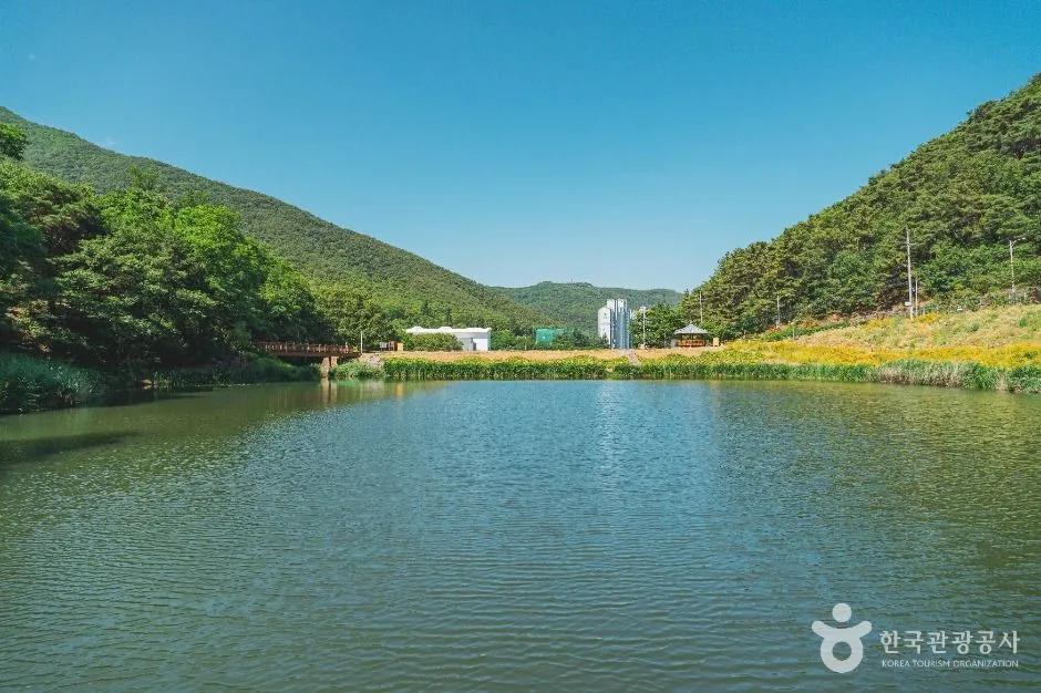 대구_진밭골산림공원 (4)