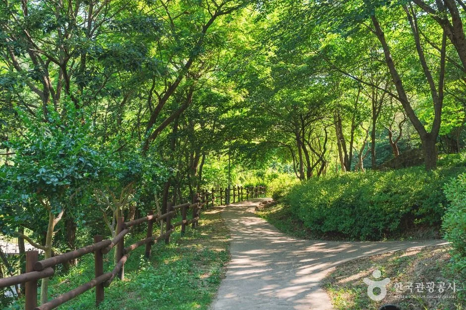 대구_진밭골산림공원 (2)