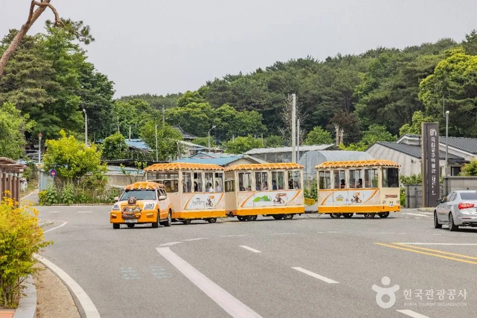 공주_고마열차 (14)