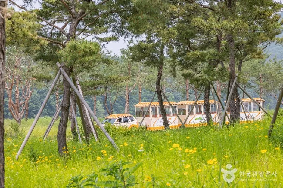 공주_고마열차 (9)