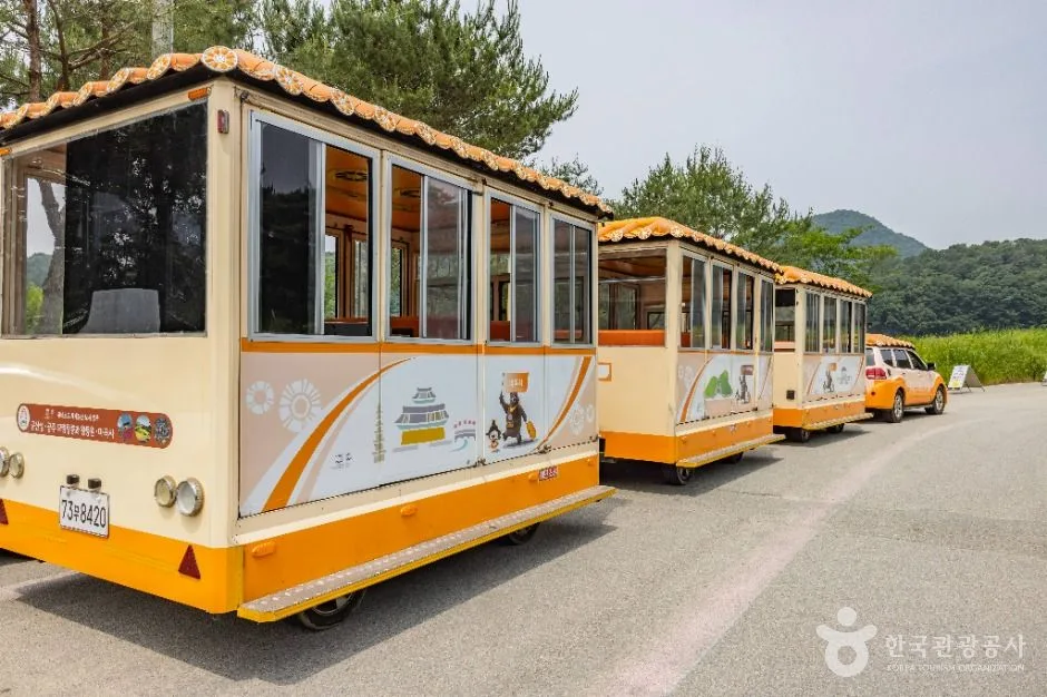 공주_고마열차 (8)
