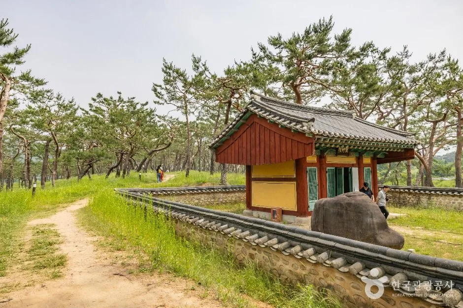 공주_고마열차 (10)