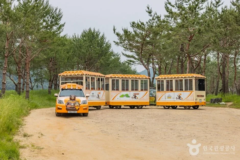 공주_고마열차 (15)