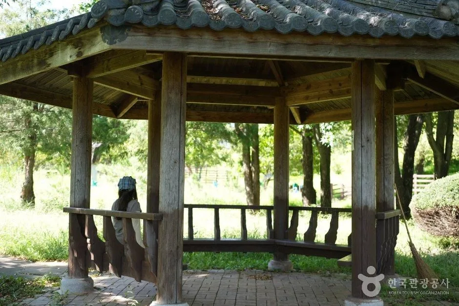 전라북도_김제_시민문화체육공원_피크닉장소_01.JPG