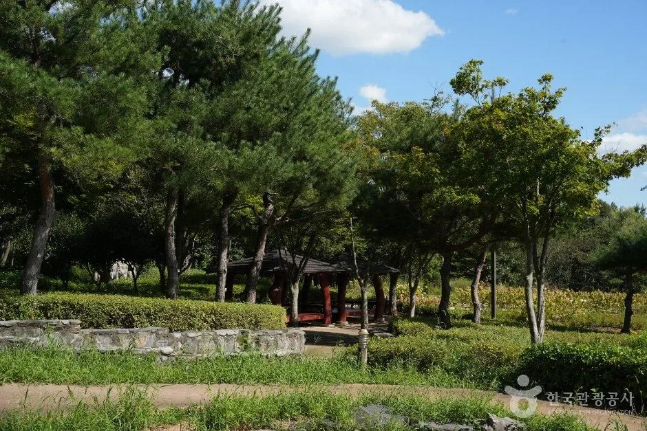 전라북도_김제_시민문화체육공원_피크닉장소_02.JPG