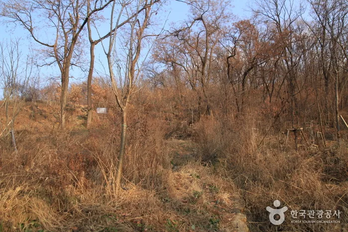 서울_망우산(서울) (7).jpg