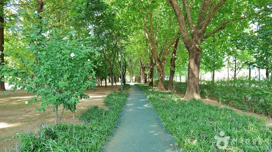 서울송파_아시아공원 (4)