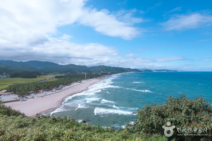맹방해변_10