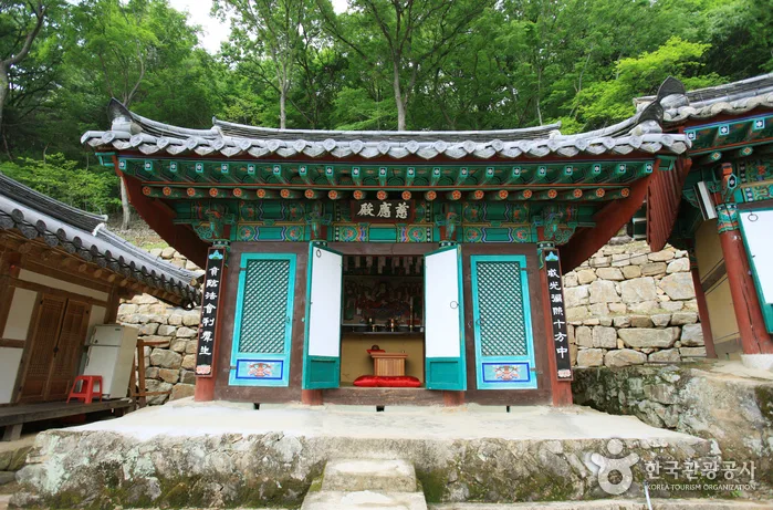 만물의 생동을 느끼는 산행