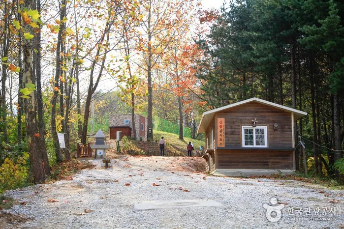 경북_울진_백암산(울진)02