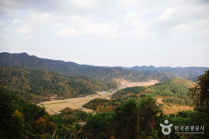 경북_울진_백암산(울진)03