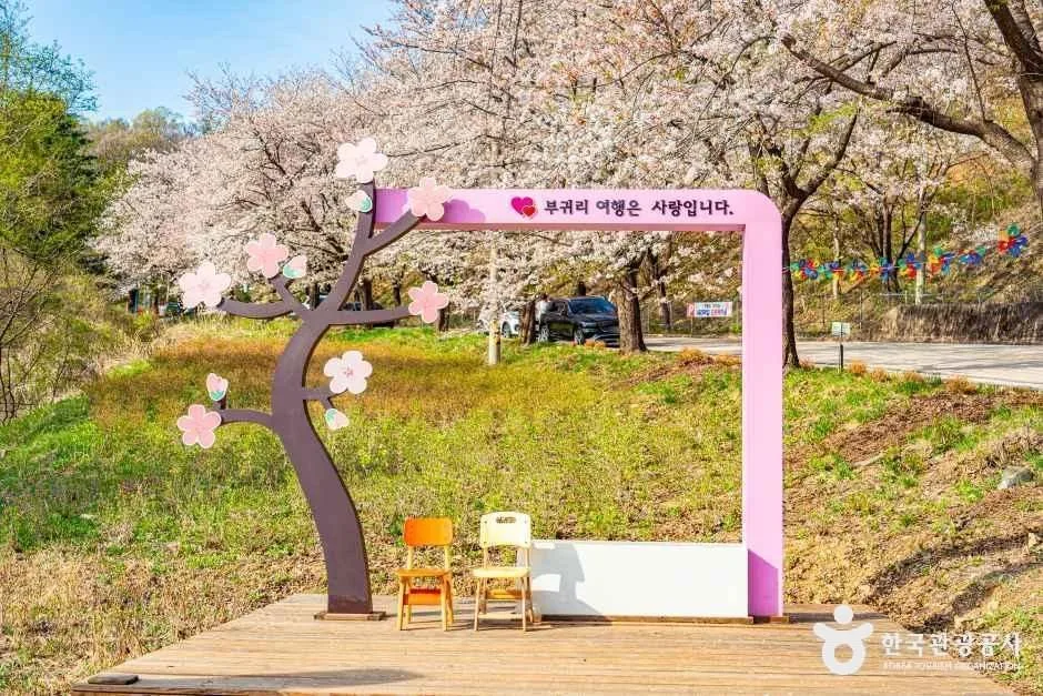 춘천_부귀리벚꽃길 (3).jpg