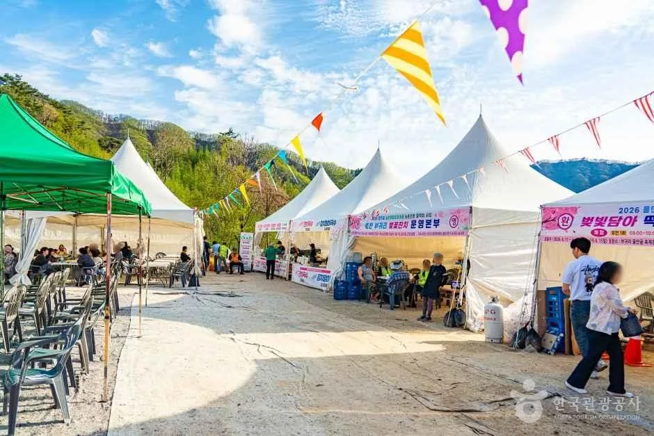 춘천_부귀리벚꽃길 (6).jpg