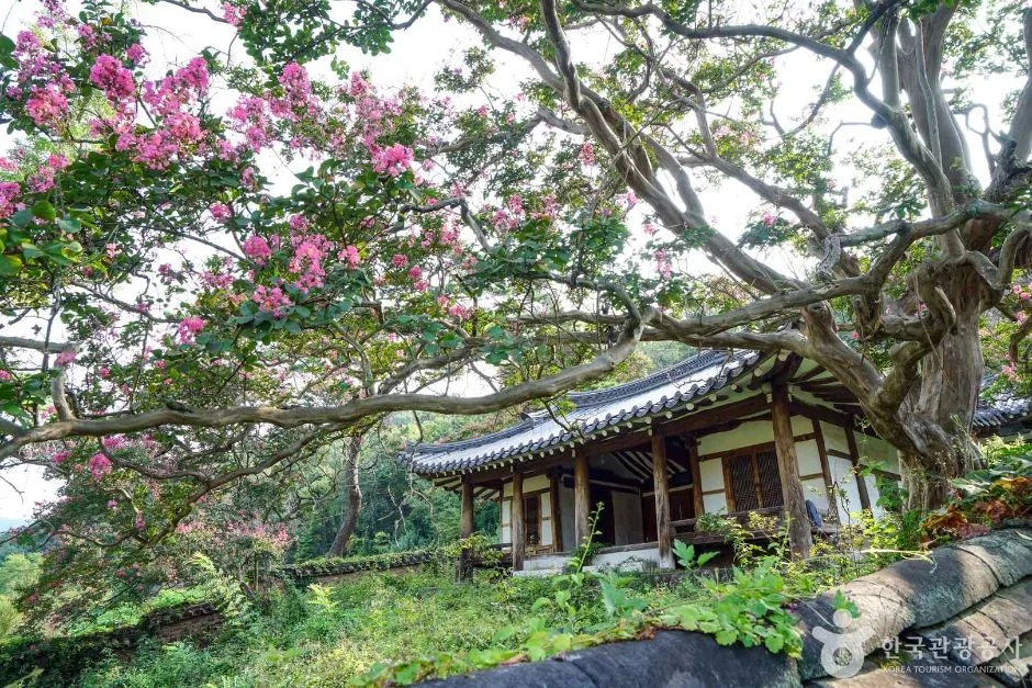 의양서원 (2)