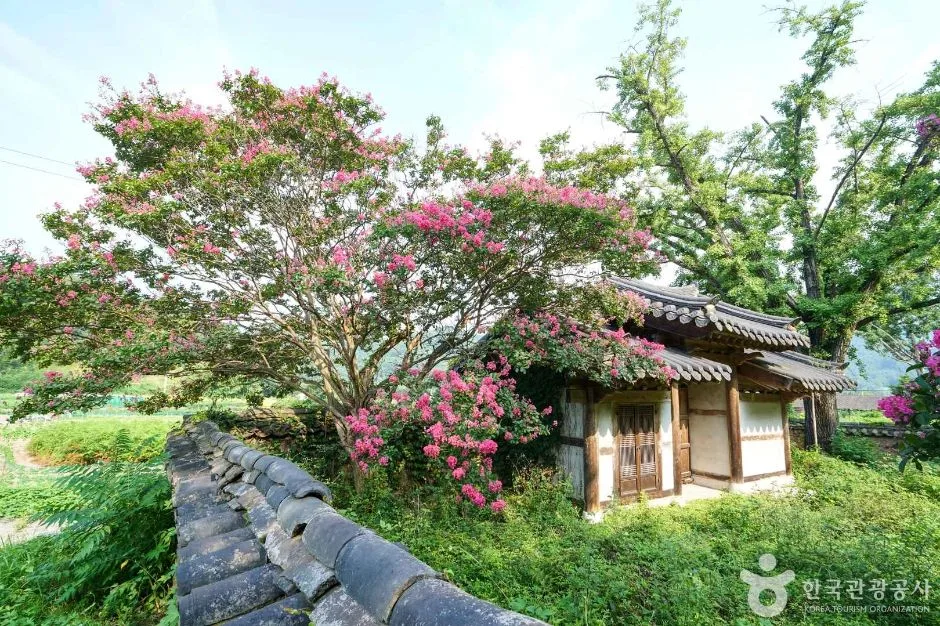 의양서원 (3)