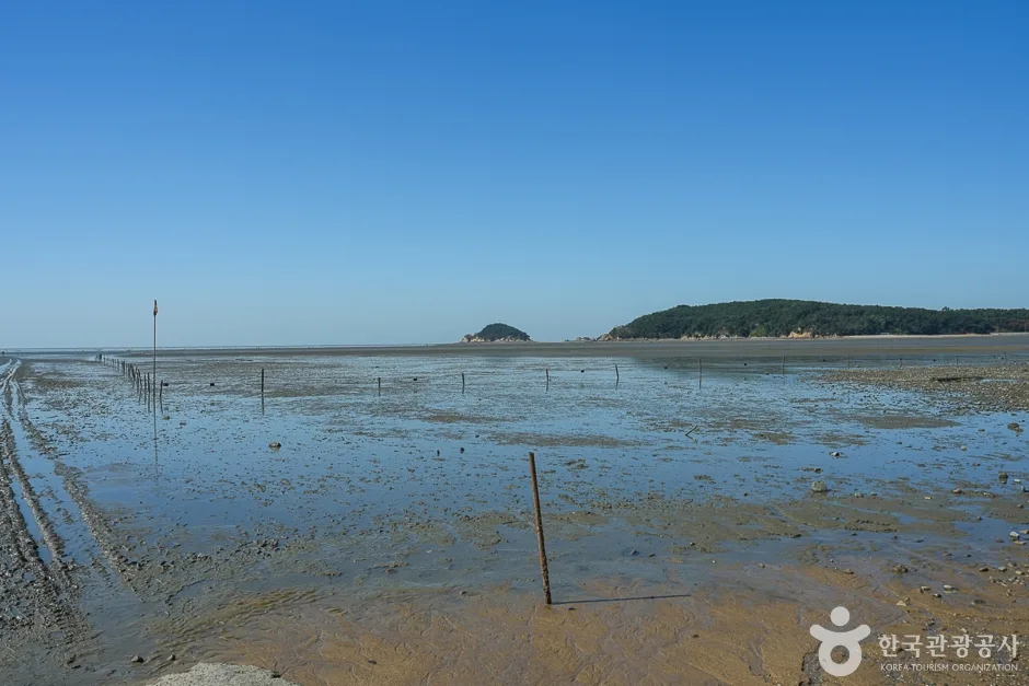 N02092_인천_중구_마시안갯벌체험장(9)