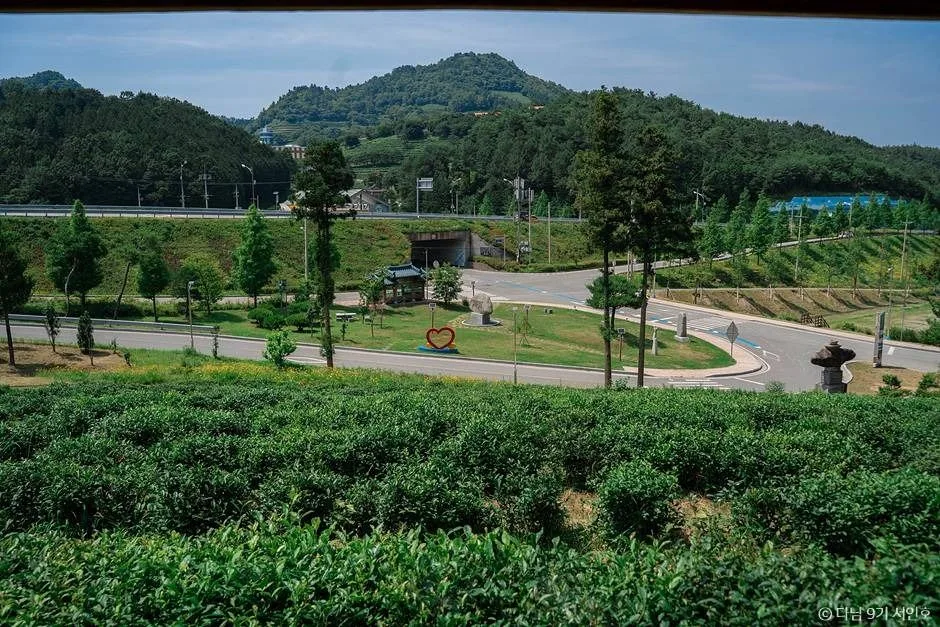 보성 가볼만한곳 보성 여름방학 가족 여행_ 봇재_2-3
