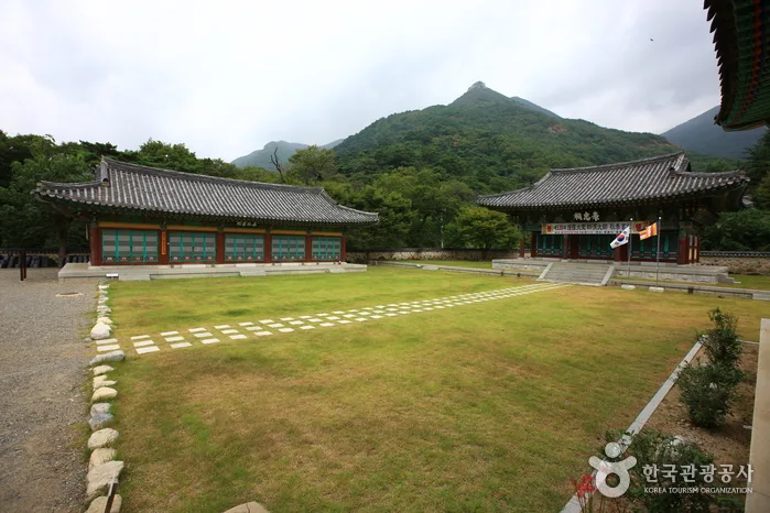 날 좀 보소 날 좀 보소! 버스 좀 타보소!