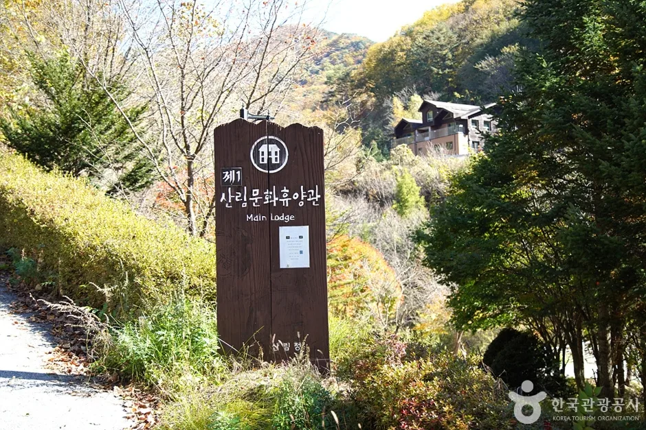 국립 복주산자연휴양림 (20)