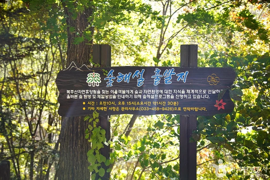 국립 복주산자연휴양림 (14)