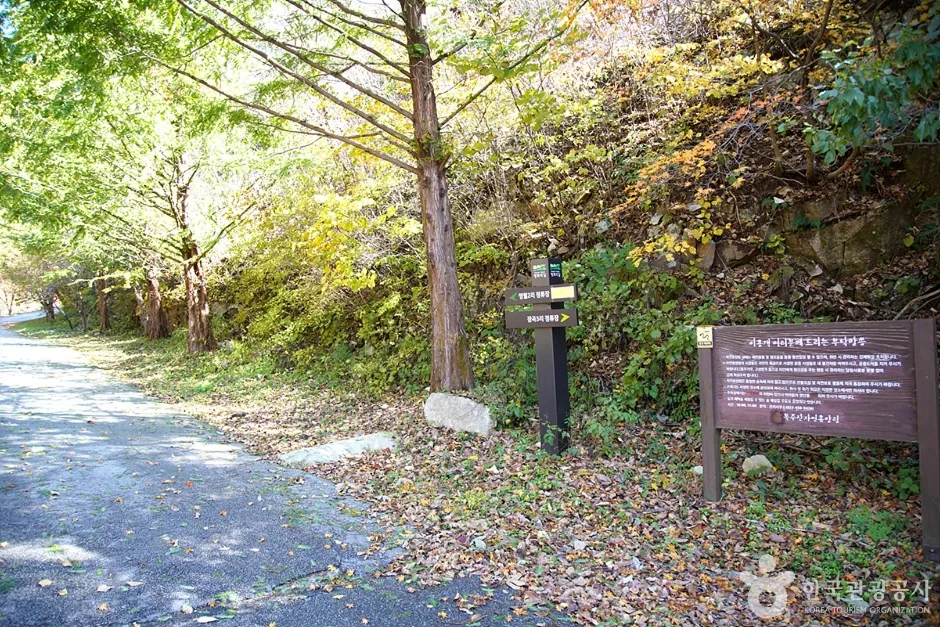 국립 복주산자연휴양림 (13)