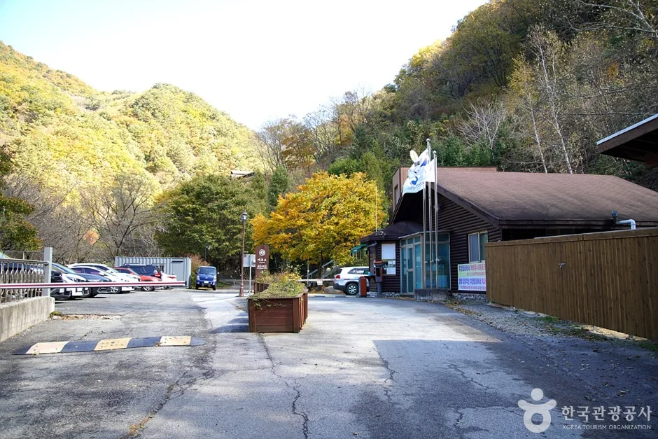 국립 복주산자연휴양림 (15)