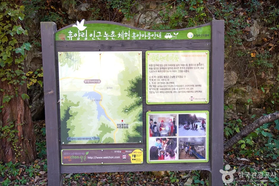 국립 복주산자연휴양림 (18)