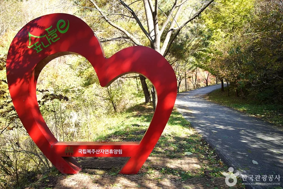 국립 복주산자연휴양림 (12)